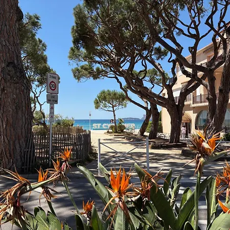 Daire 2 With Terrace And Parking